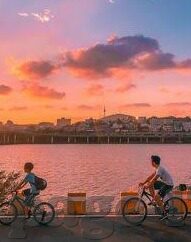91麻豆剧传媒国产av在线-平台往往具备以下几个特点