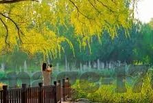 百度云麻豆APP-百度云麻豆APP，数字时代的便捷与高效新选择