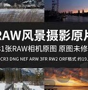 成人免费视频在线观看碰-与网络伦理的边界，理性探讨与自我保护