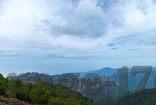 大象传媒 米欧-探索米欧与大象传媒的非凡旅程，创意与传播的交响曲