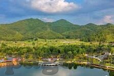 大象视频在线回家地址-探索大象视频的奇妙之旅，在线回家地址的温馨篇章
