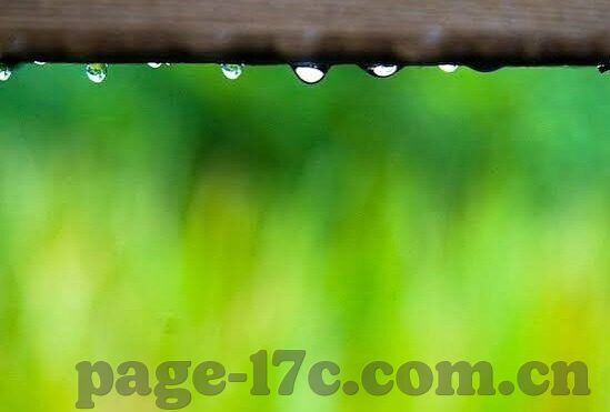 糖心vlog激活码购买-揭秘小红书上的糖心Vlog激活码购物攻略——你掌握的不仅是技巧，更是潮流新风尚