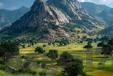 糖心vlog污IOS-糖心vlog与iOS小天地里的生活点滴